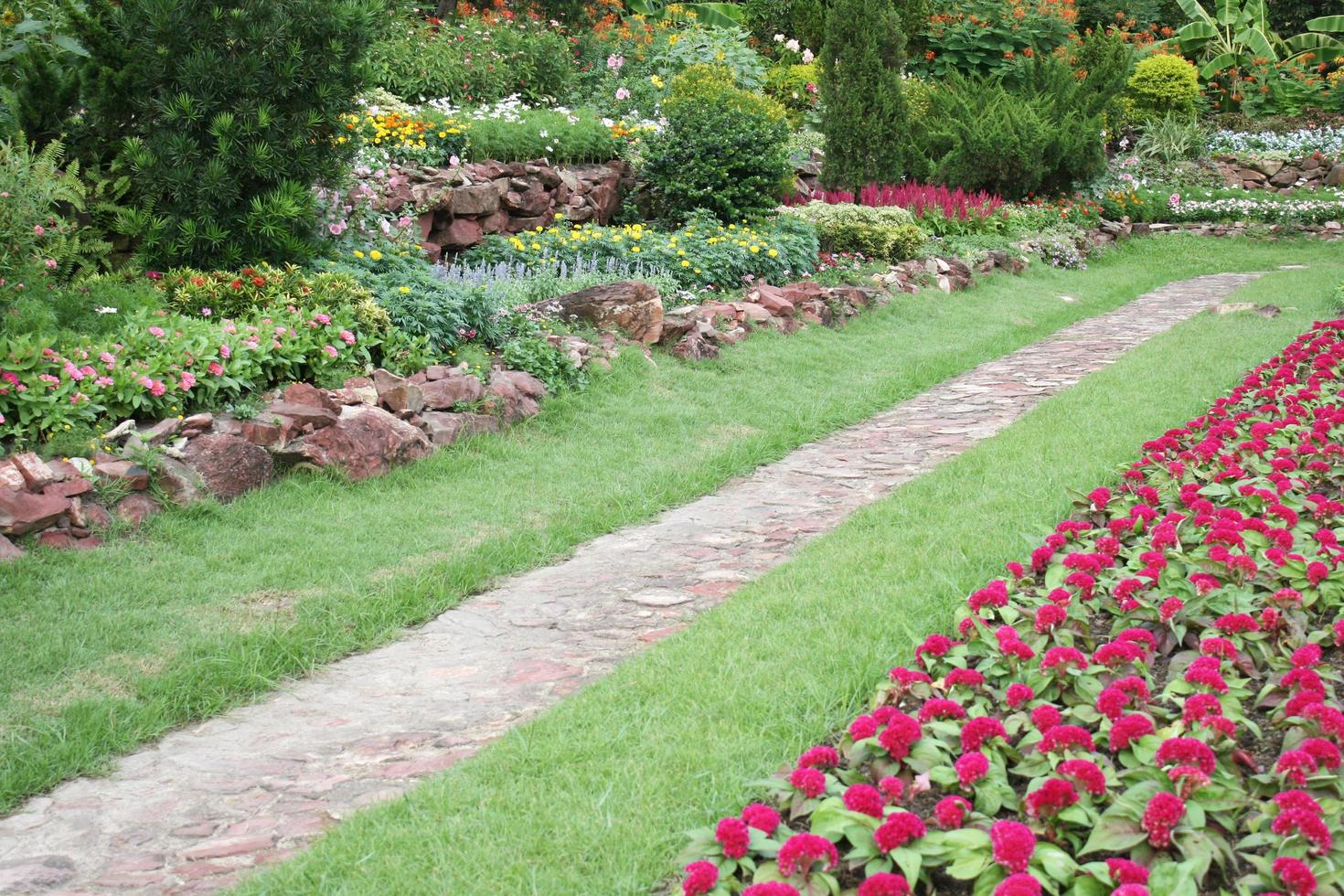 camino en un jardín de flores foto