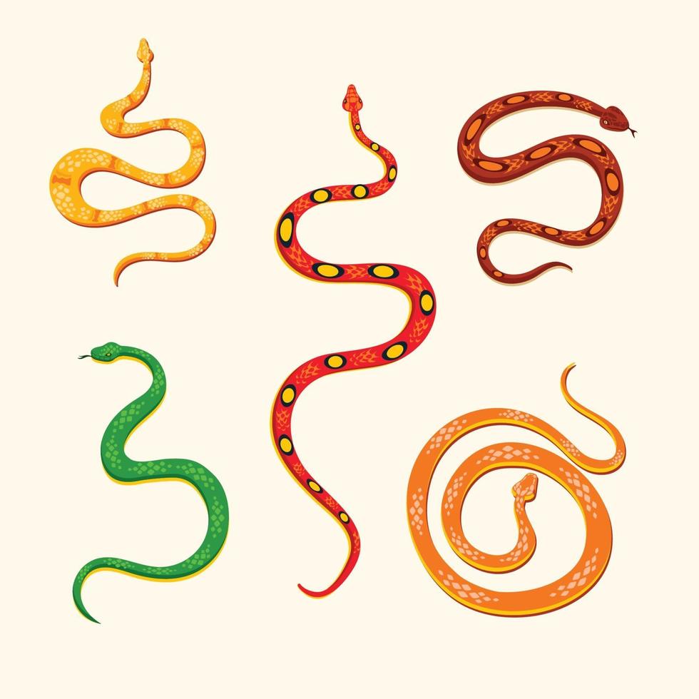 Conjunto de ilustración de vector de depredador de veneno de serpiente