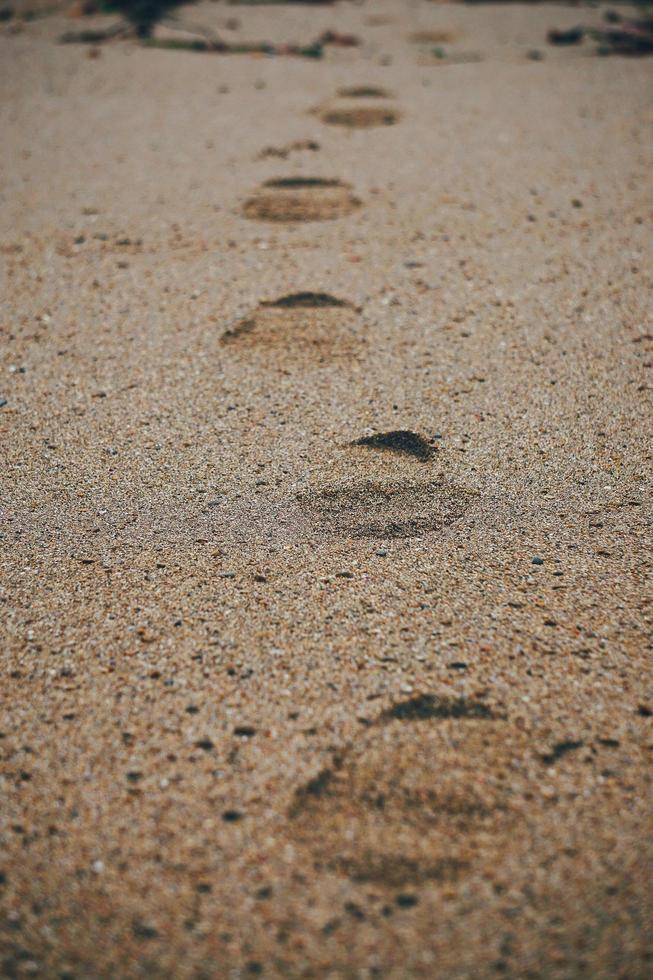 huellas en la arena de la playa foto