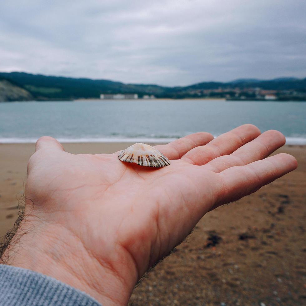 mano con una concha en la playa foto