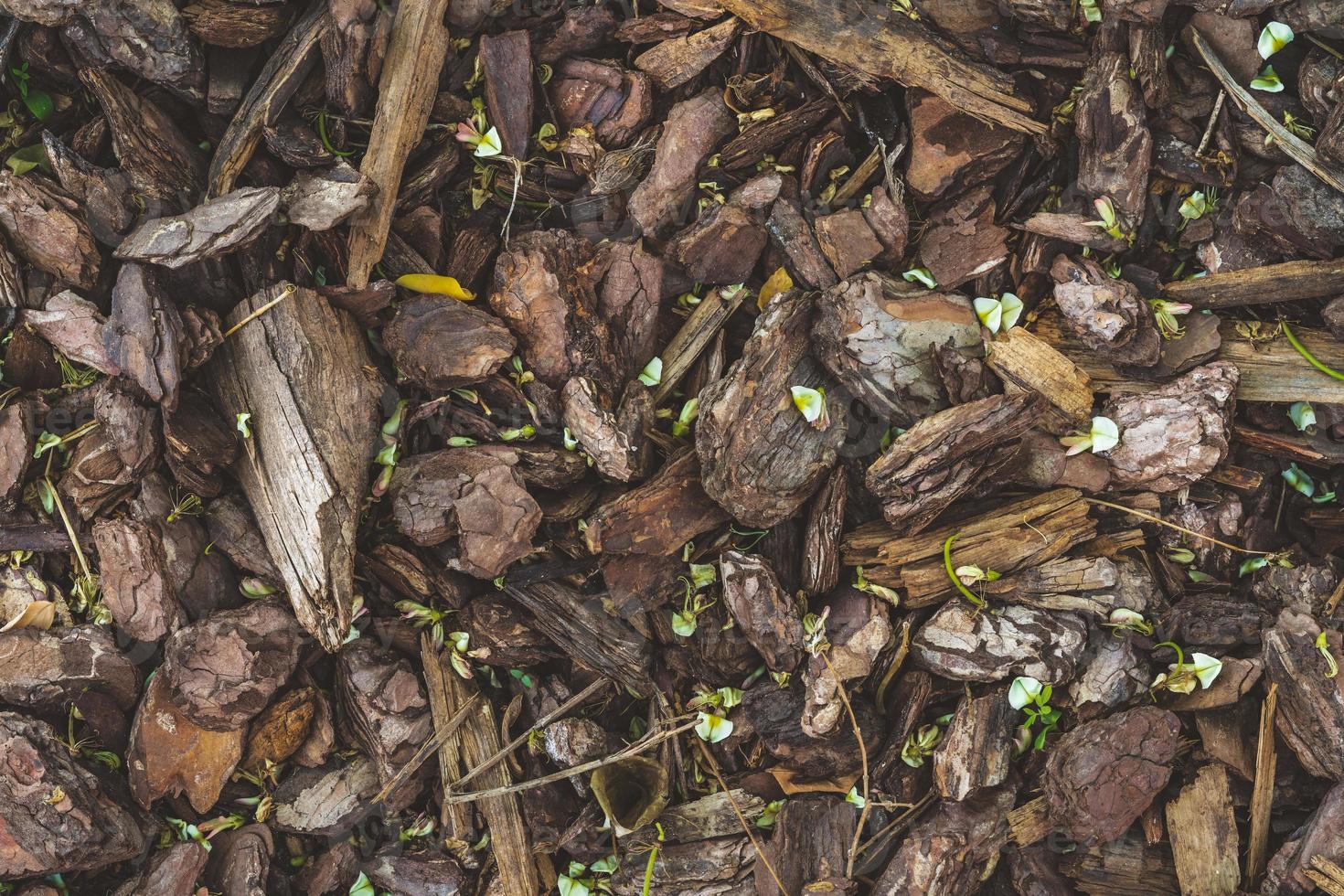 Fondo de un piso cubierto por mantillo de corteza de pino natural foto