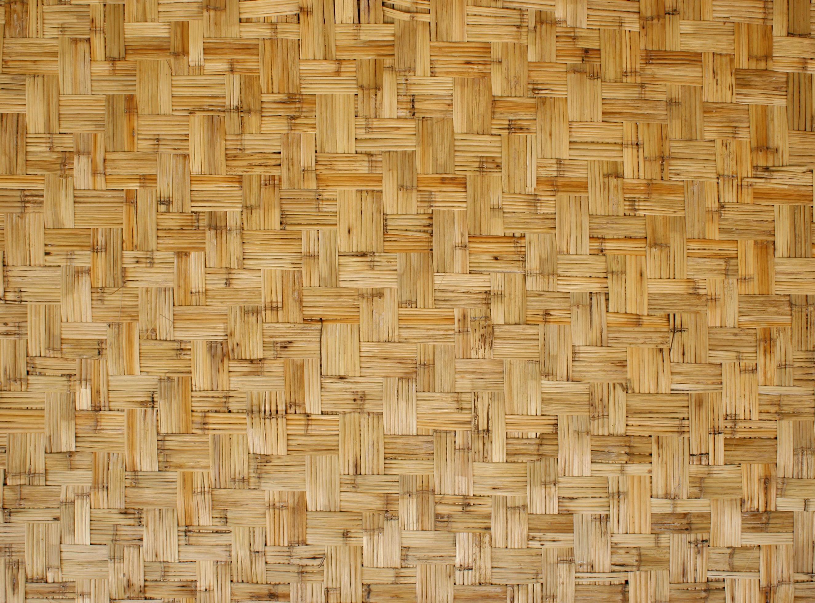 Bamboo Texture Background Stock Photo