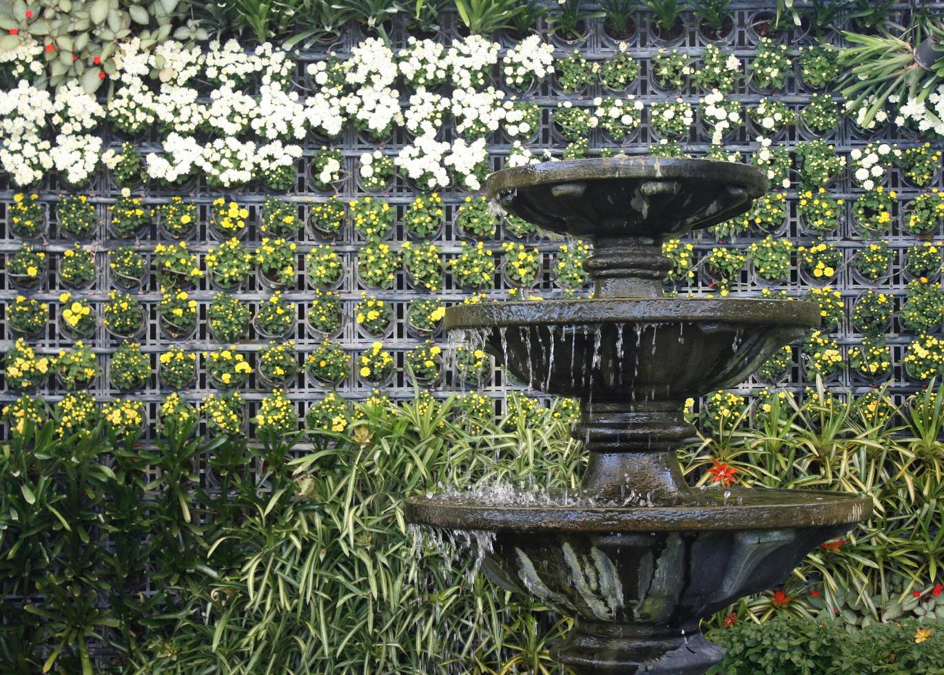 Water fountain and flowers photo