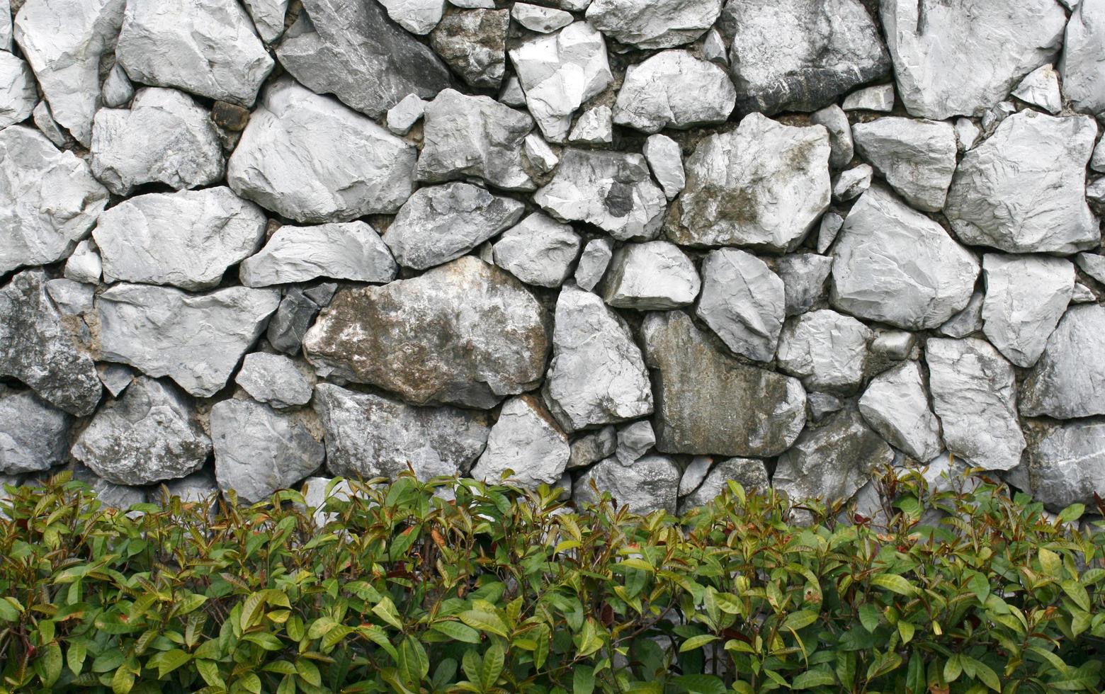 antiguo muro de roca con cobertura foto