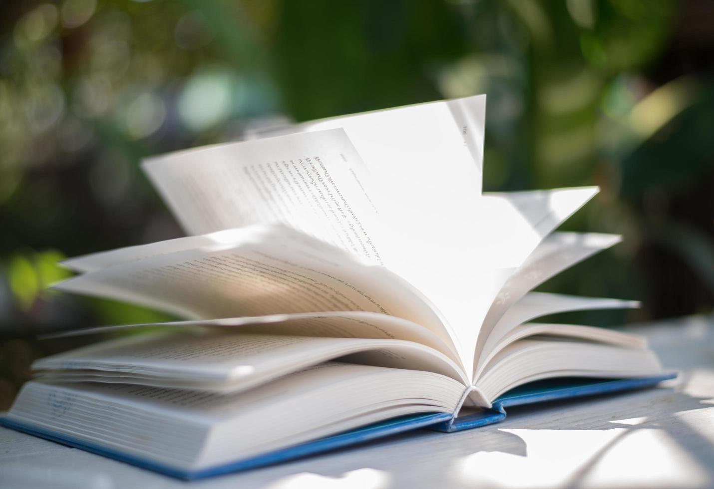 Close-up of open book with nature bokeh background photo