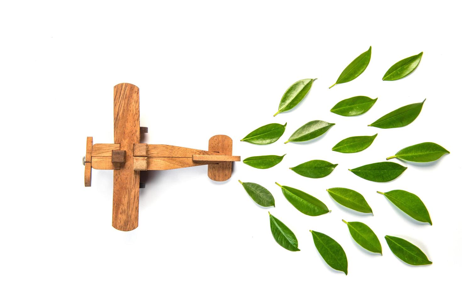 Avión de madera y hojas sobre fondo blanco. foto