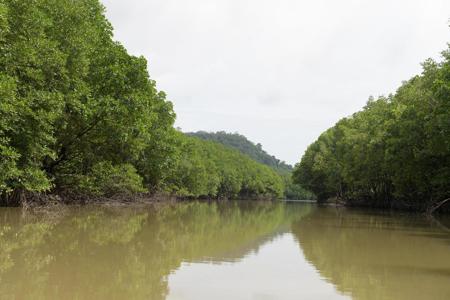 Rivers with trees in Thailand photo