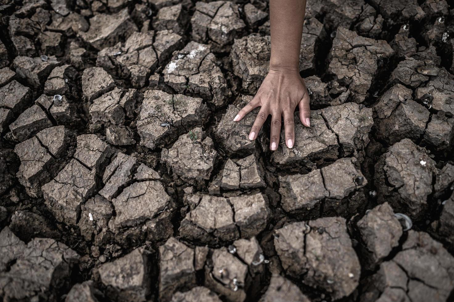 manos en suelo seco y agrietado foto