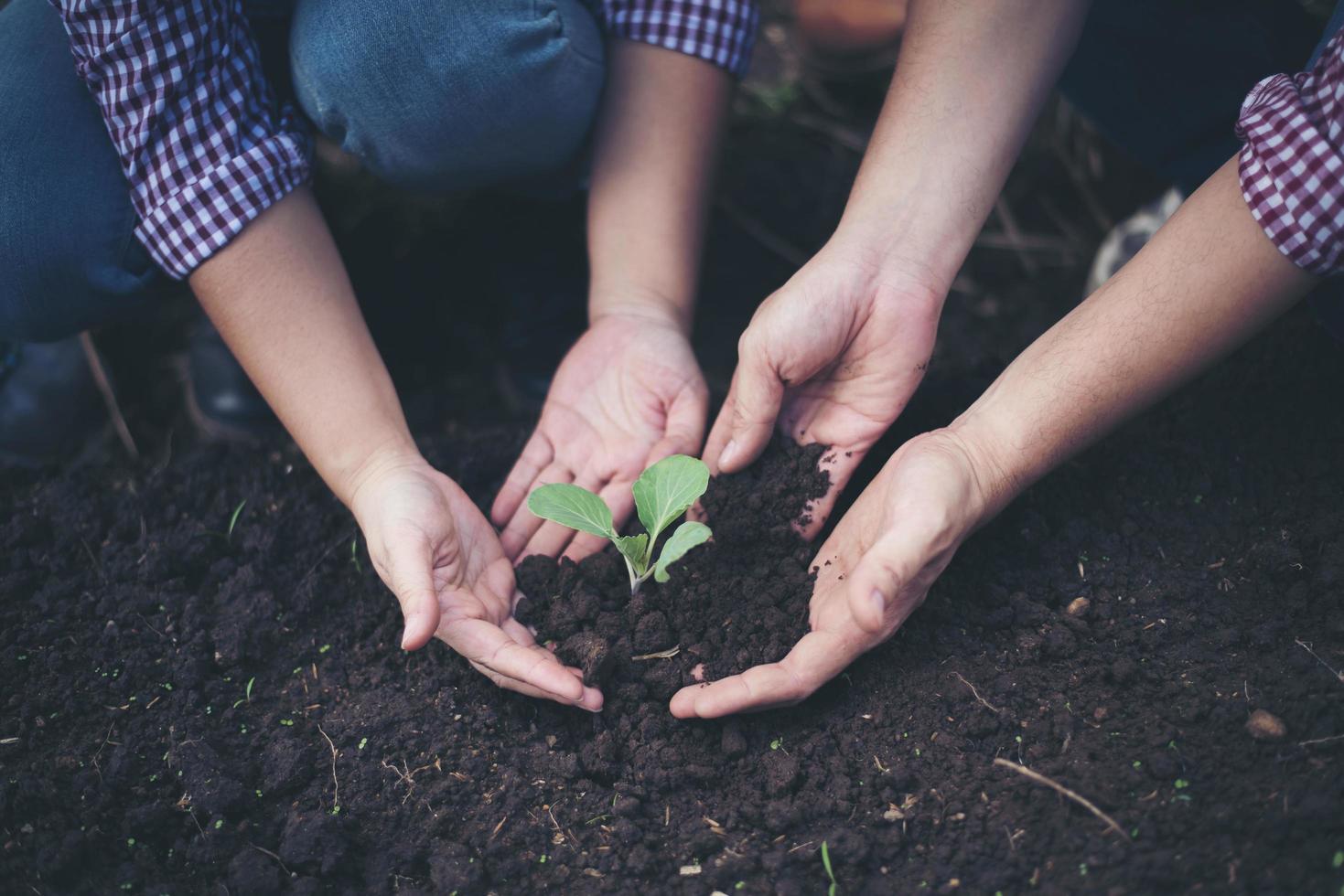 agricultores plantando árboles en el suelo. foto