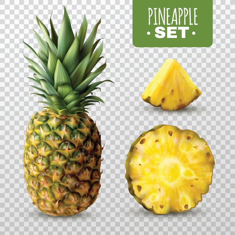 realistic pineapple set vector