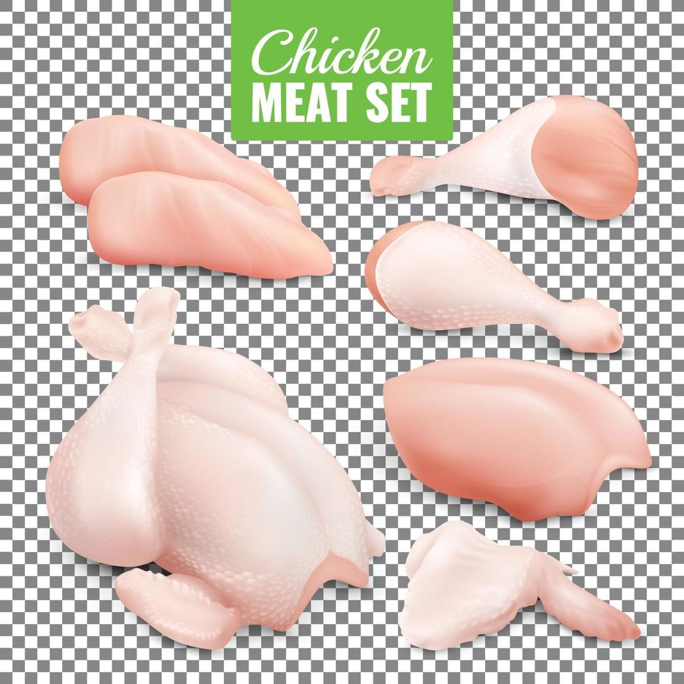 conjunto de carne de pollo vector