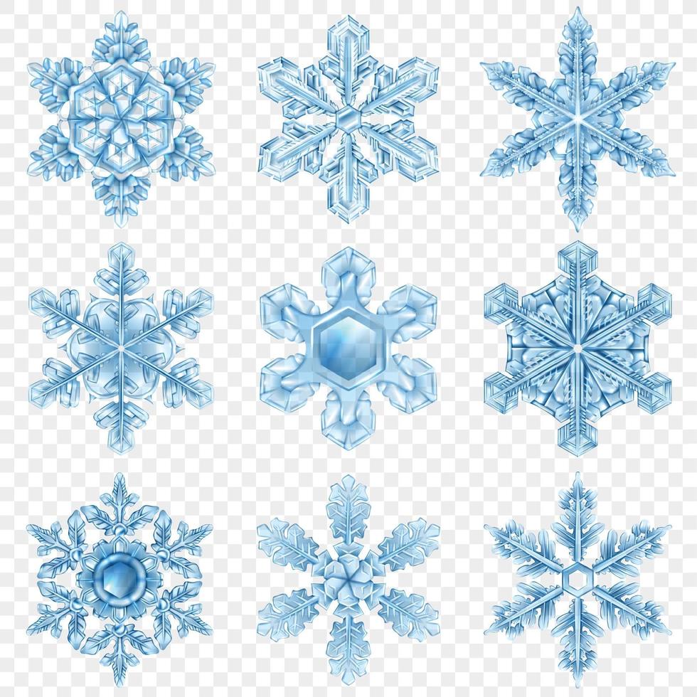 realistic snowflake set vector