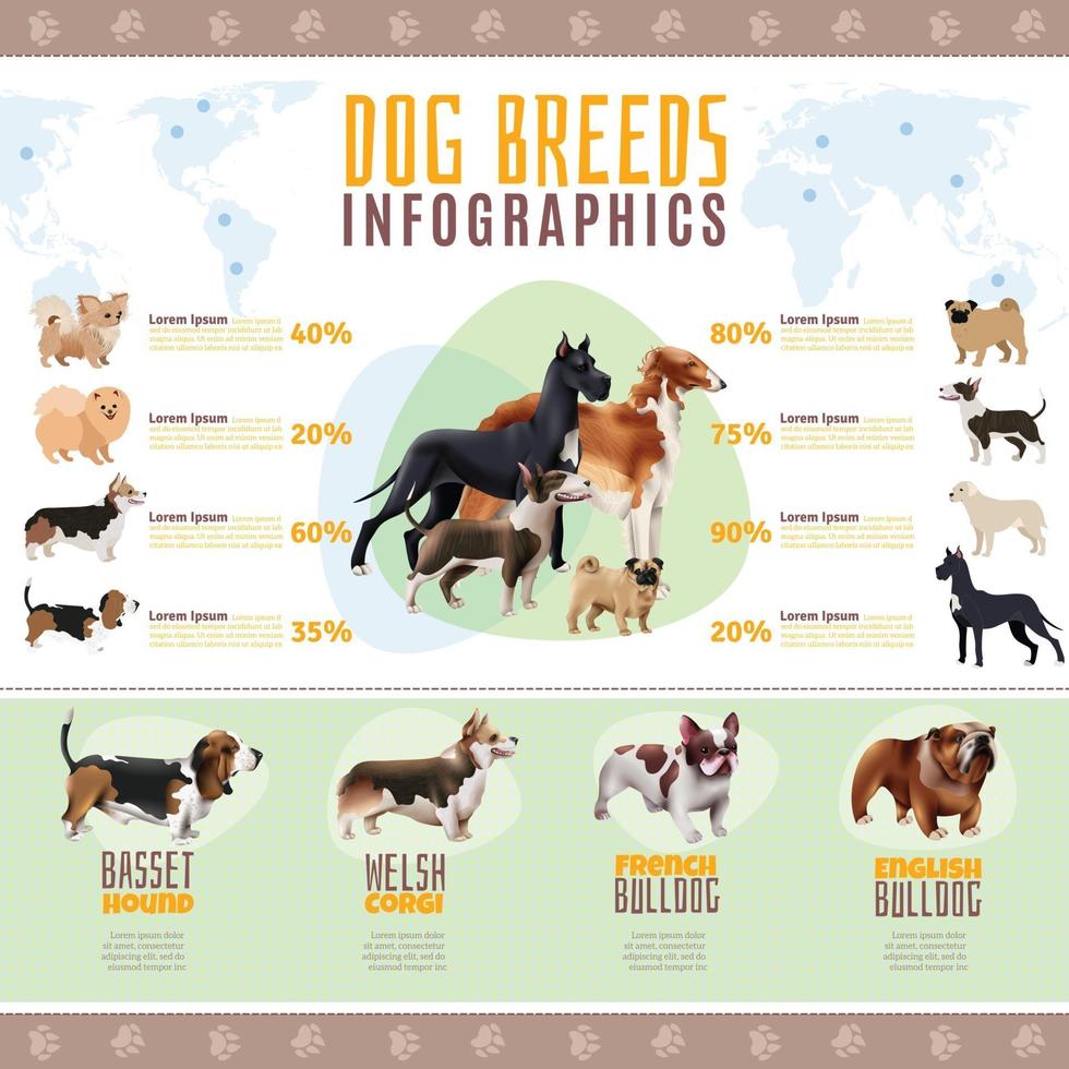 infografías de razas de perros vector