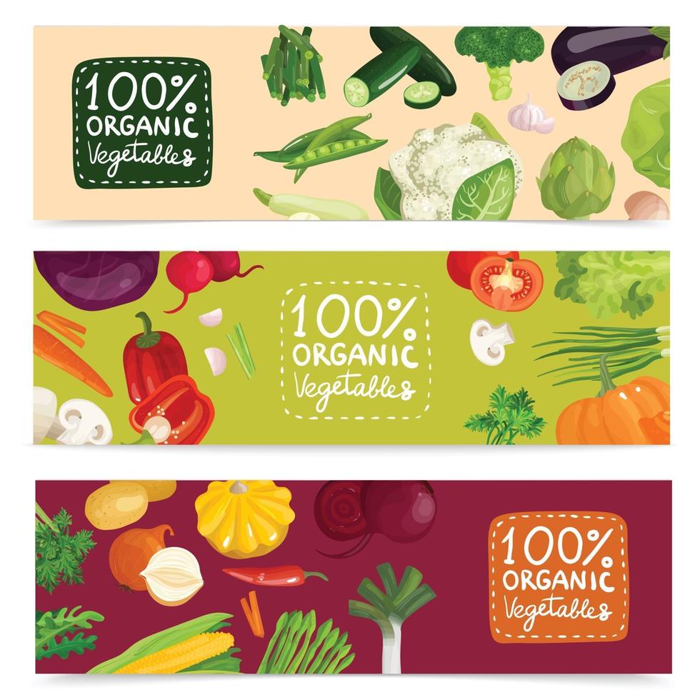 conjunto de banners de verduras vector