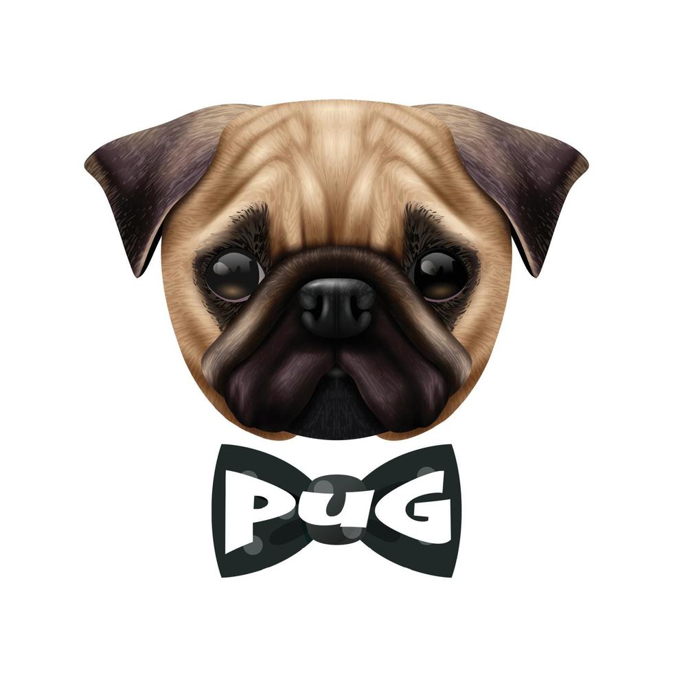 realistic pug dog portrait vector