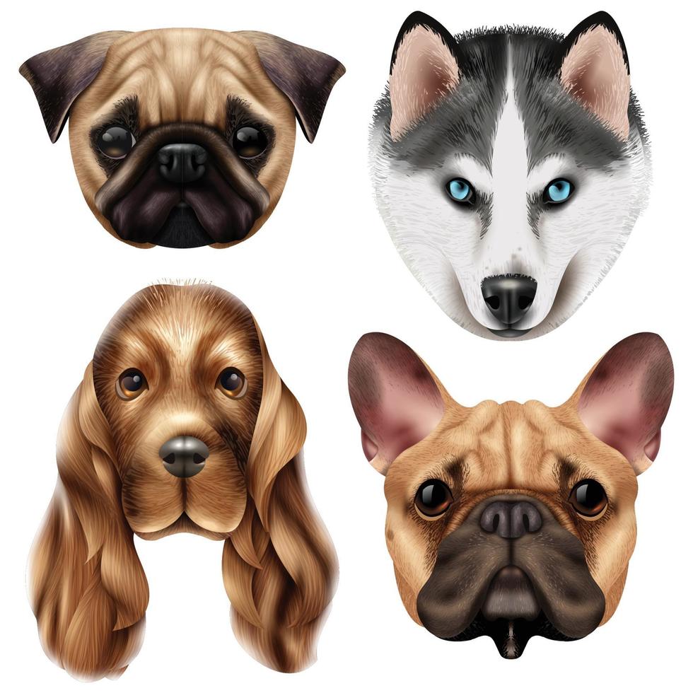 realistic dog breed set vector