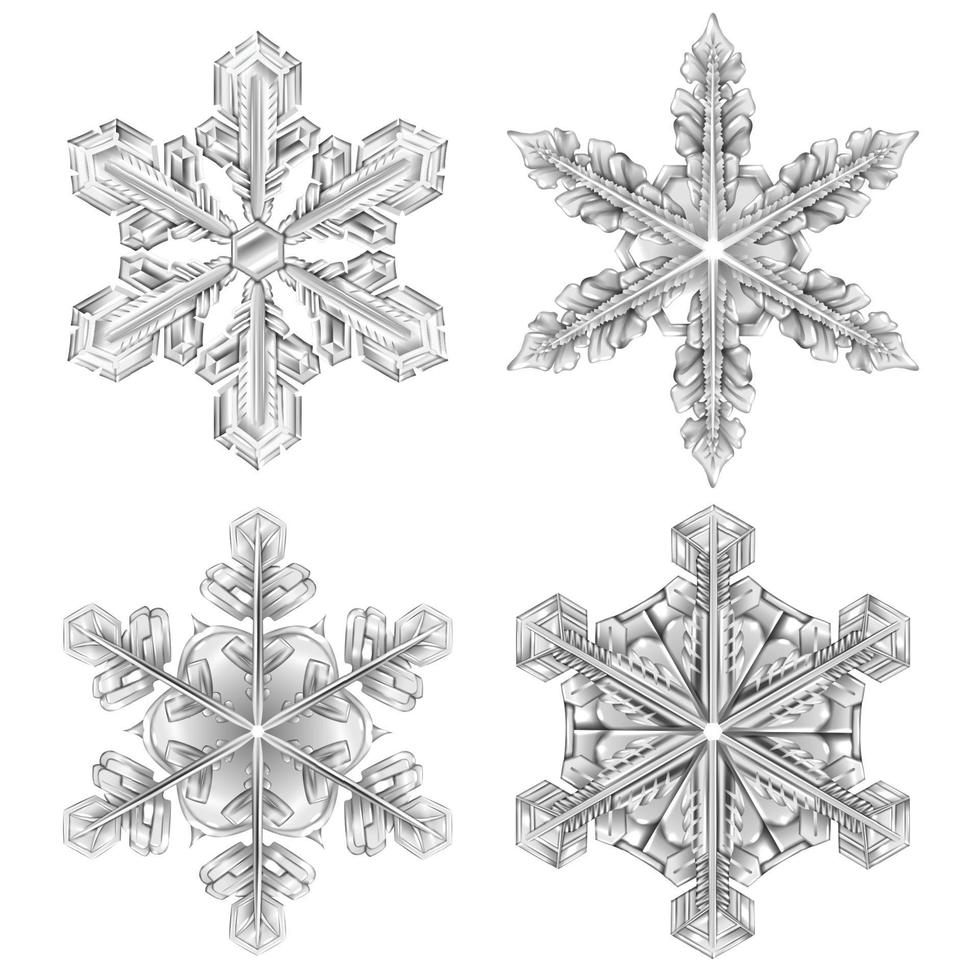 realistic snowflake black and white set vector