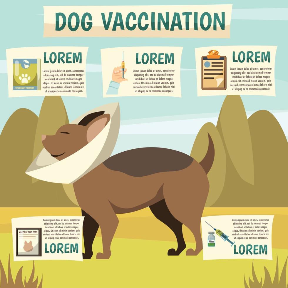 Dog vaccination orthogonal background vector