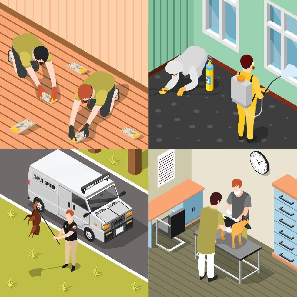 Pest control isometric 2x2 vector