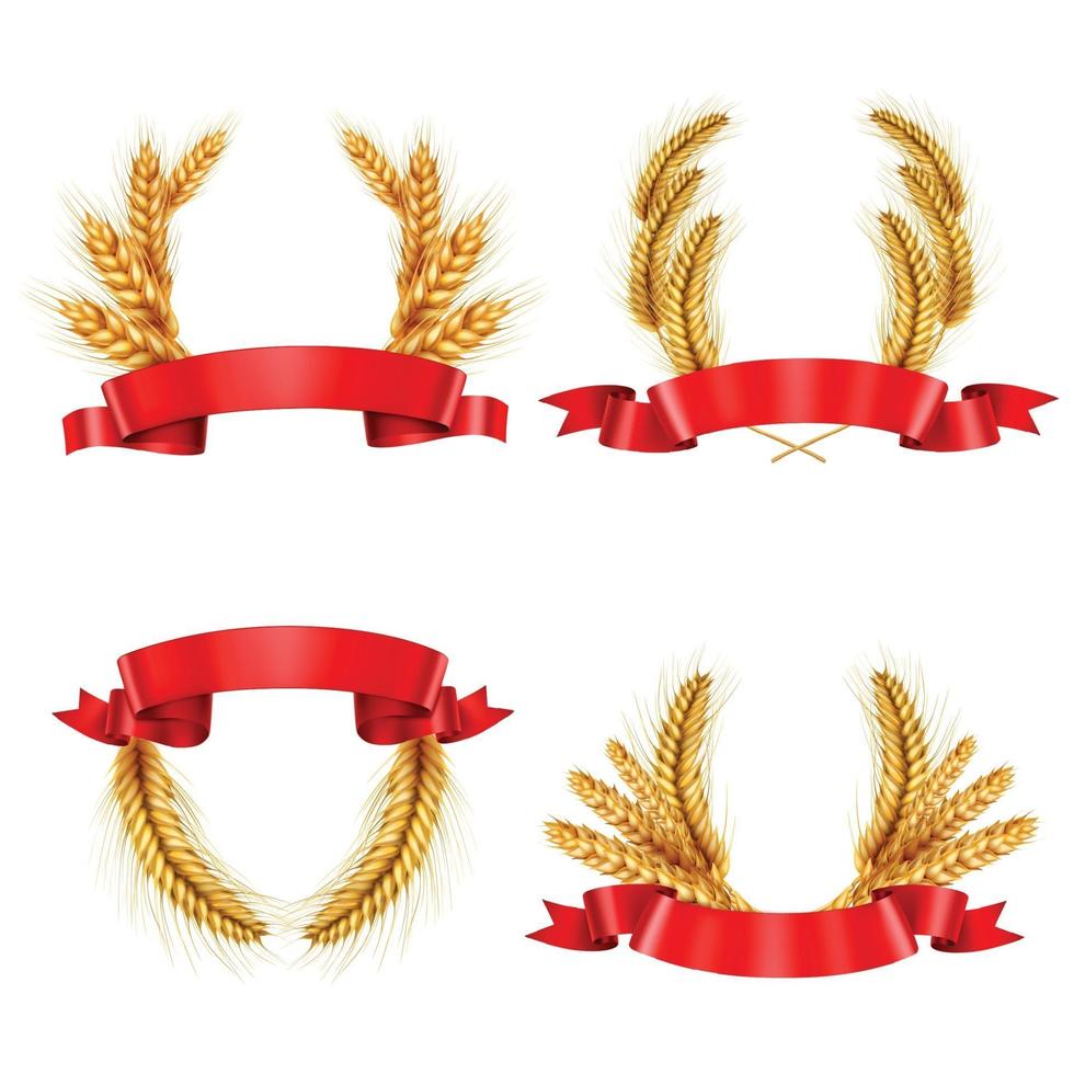 spikelet wreaths with ribbons realistic vector