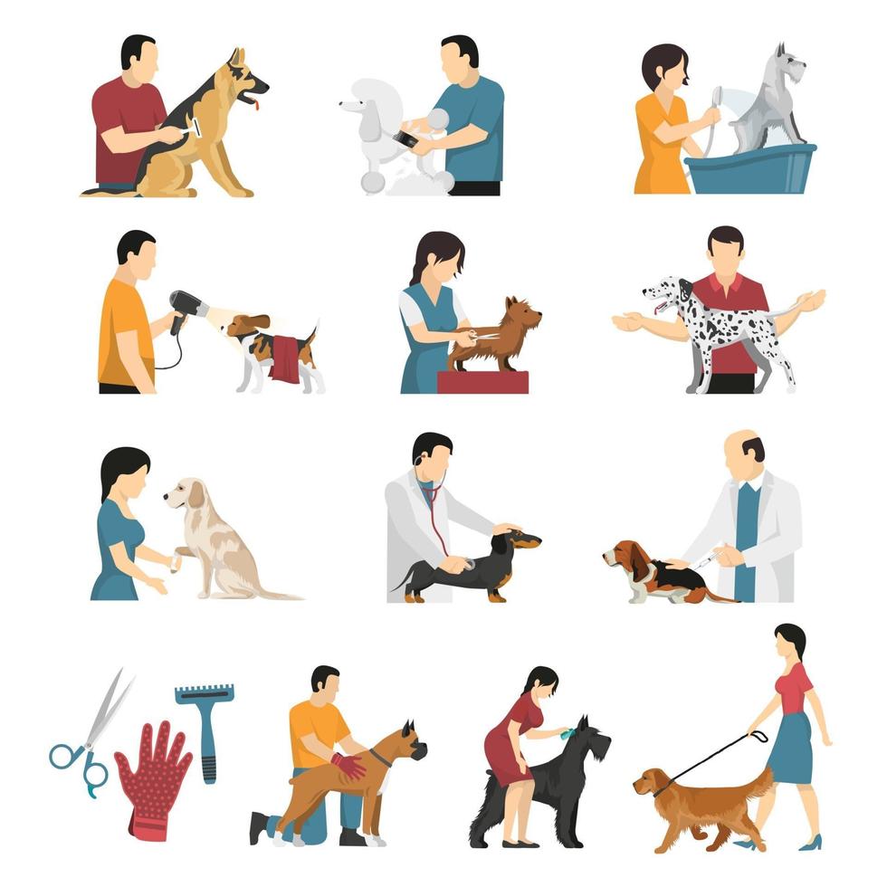 grooming service vet dogs set vector