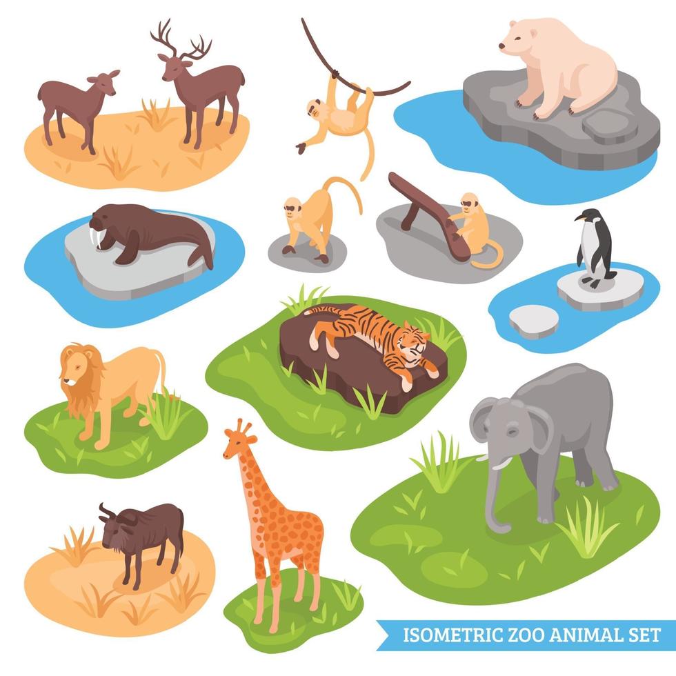 isometric zoo animal set vector