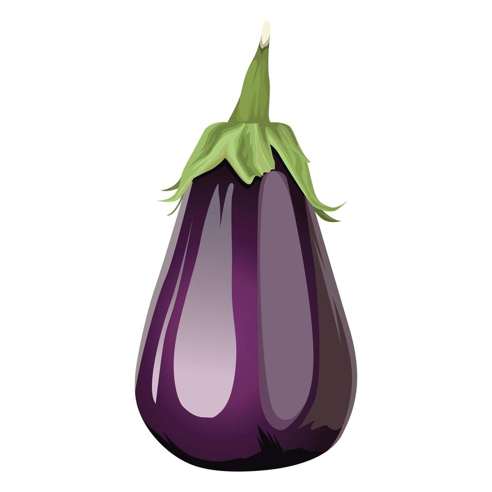 fresh eggplant vegetable icon vector