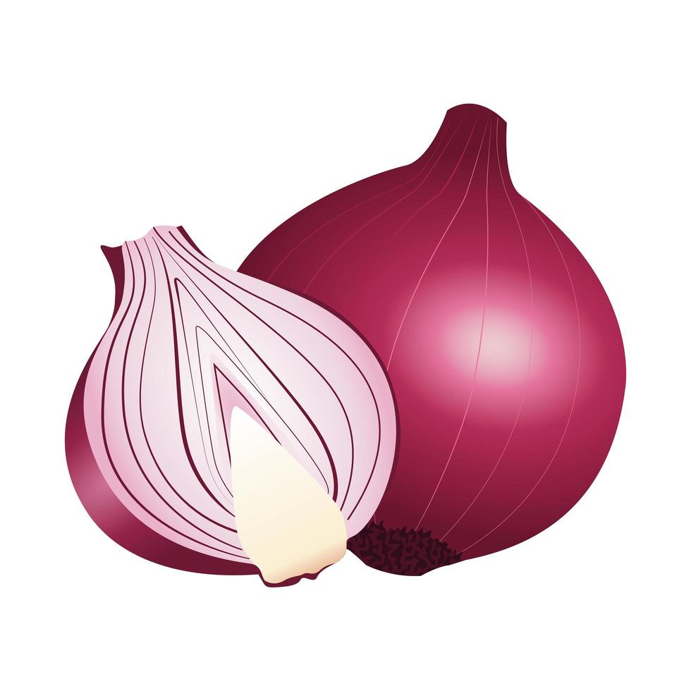 icono de vegetales saludables de cebolla fresca vector