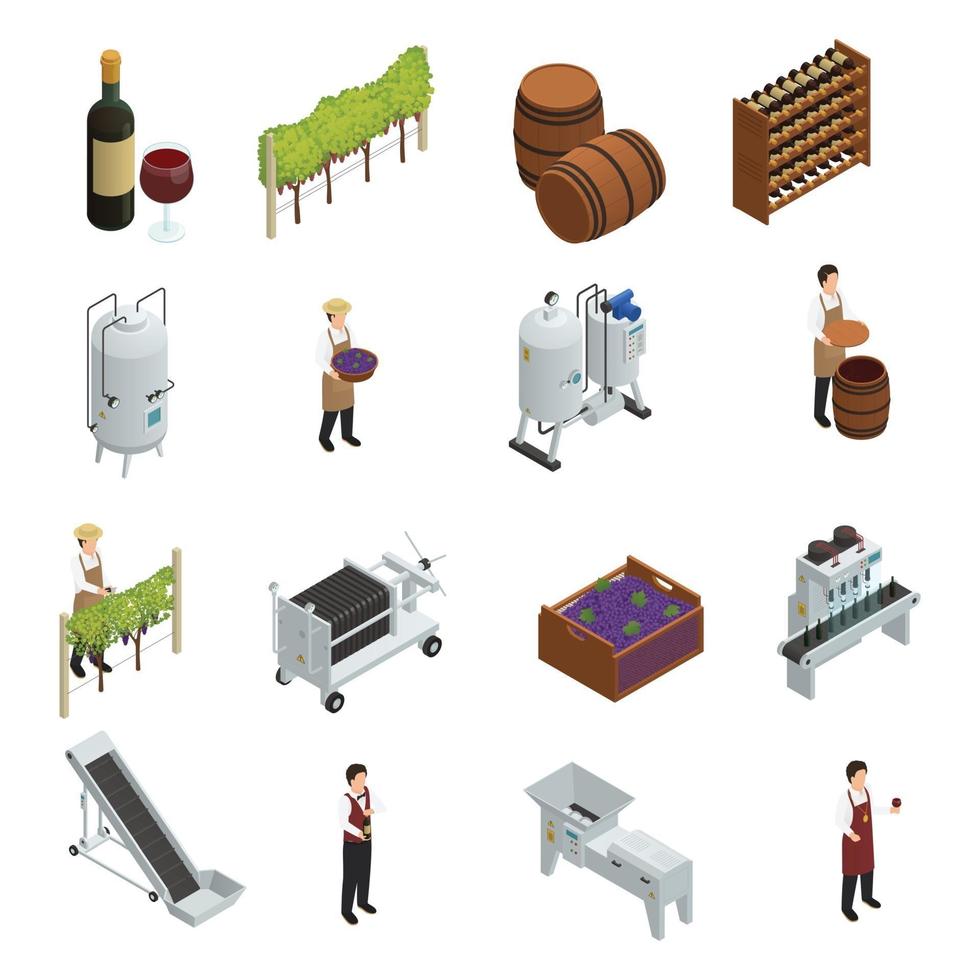 wine production isometric vector