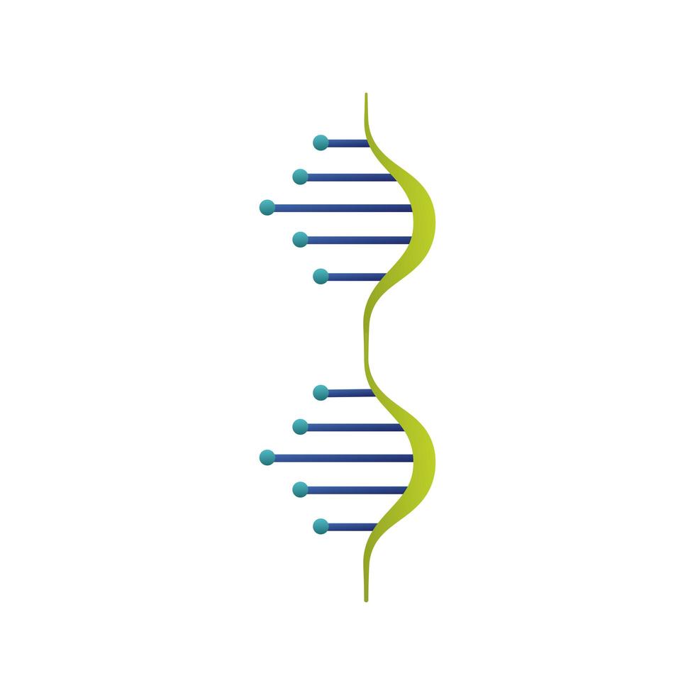 Icono aislado de la estructura de la molécula de ADN vector