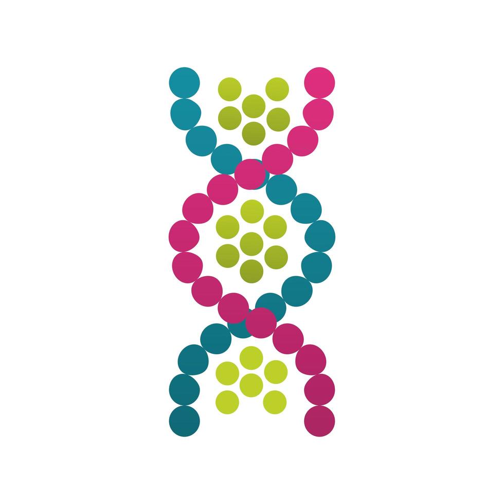 dna molecule structure isolated icon vector