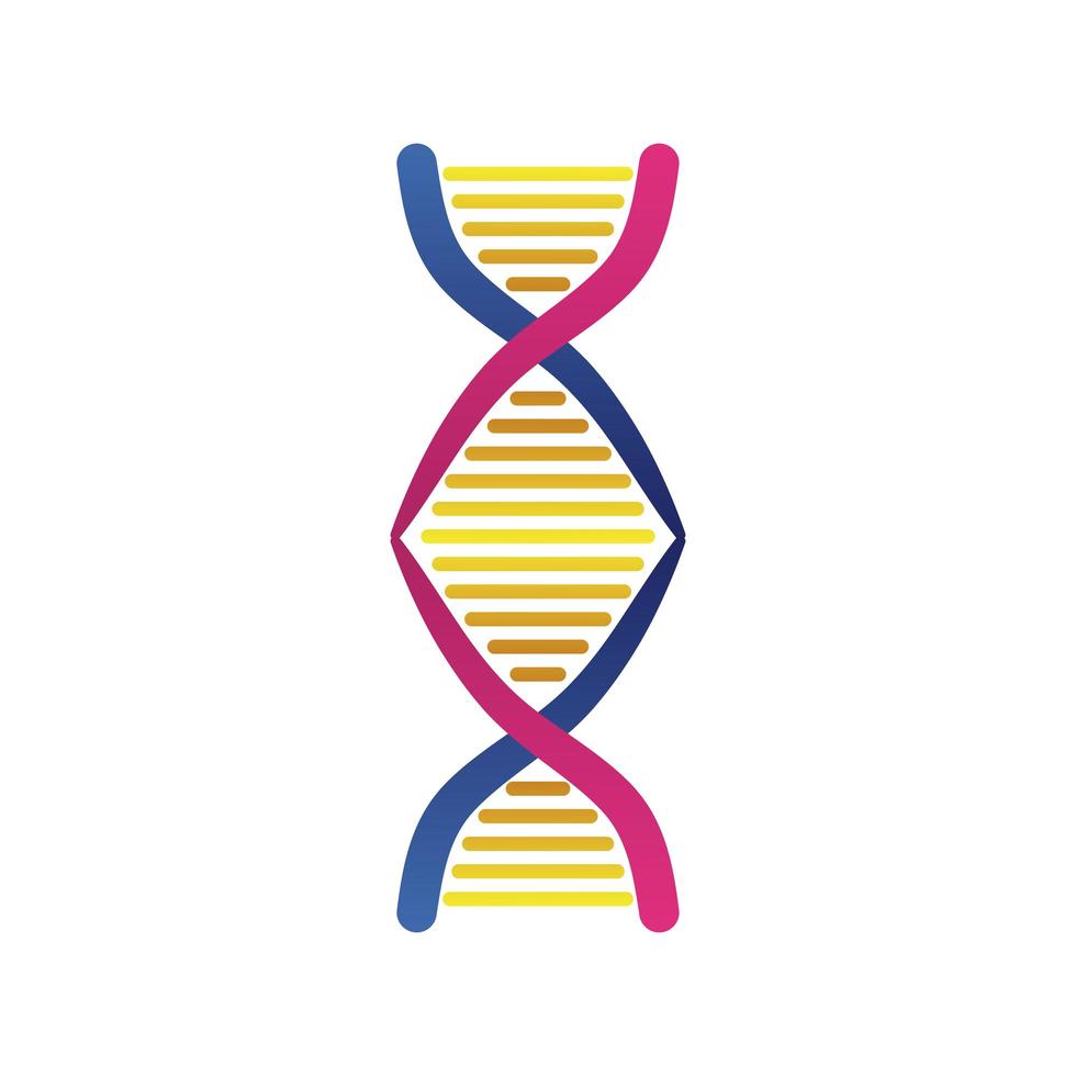 dna molecule structure isolated icon vector
