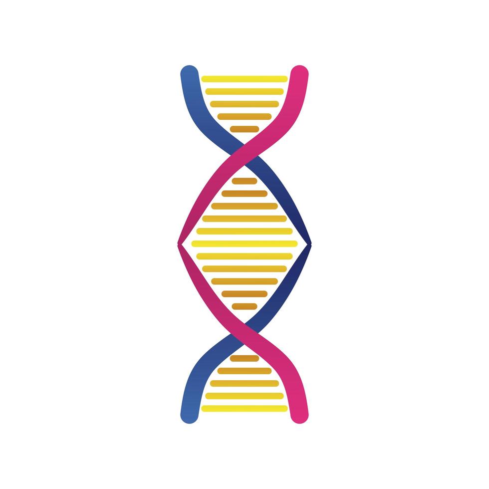 dna molecule structure isolated icon vector