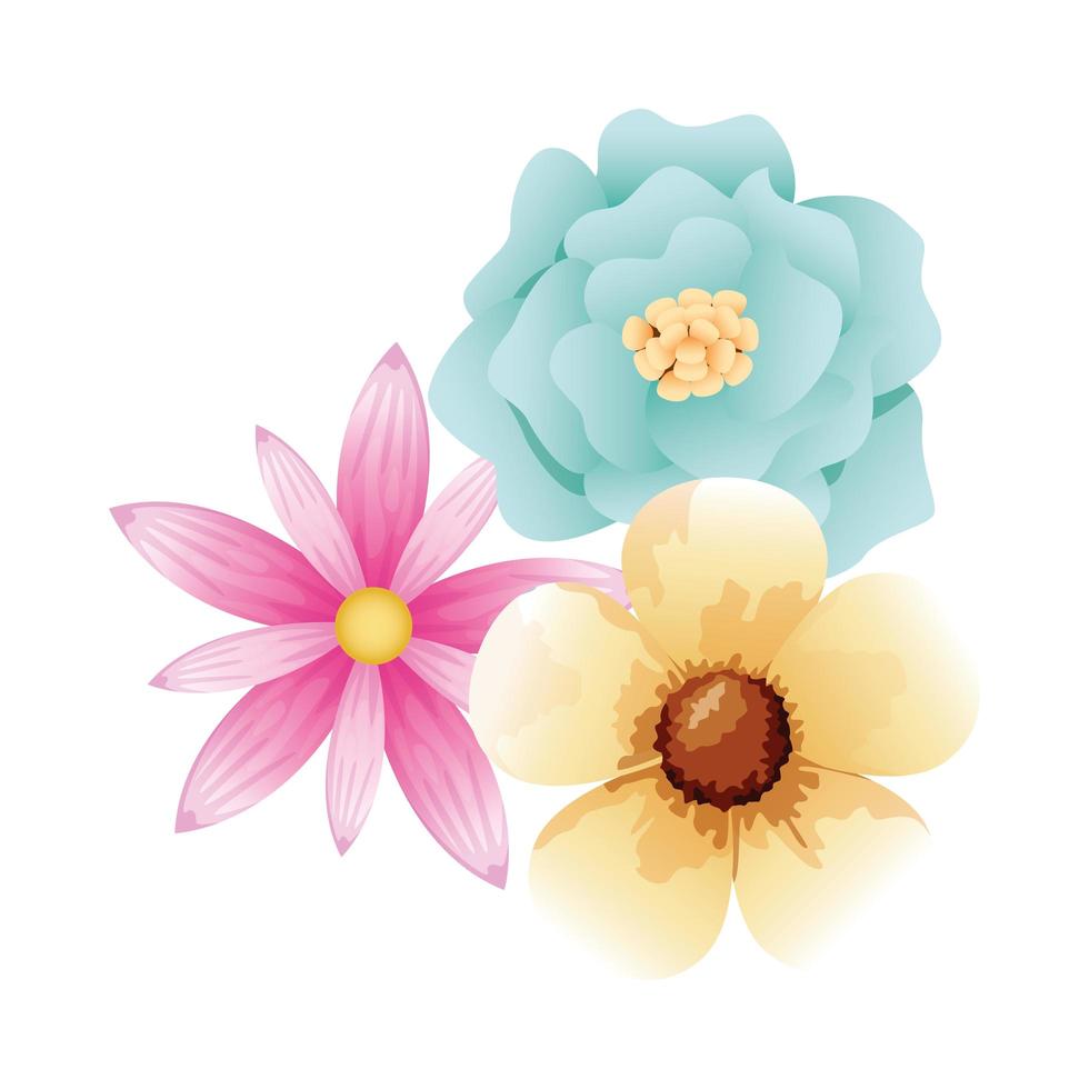 beautiful flowers garden decorative icon vector