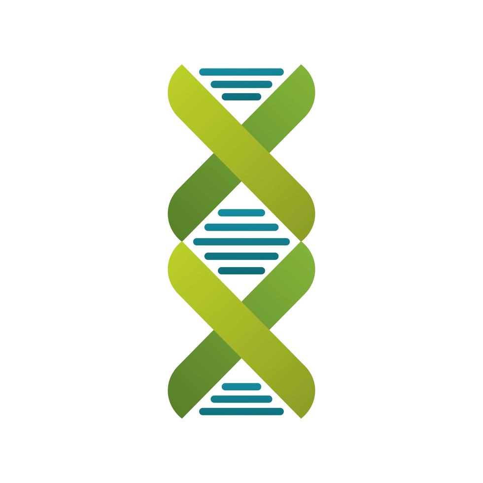 dna molecule structure isolated icon vector