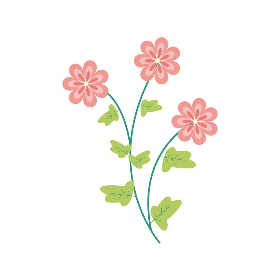 pink color flowers garden flat element vector