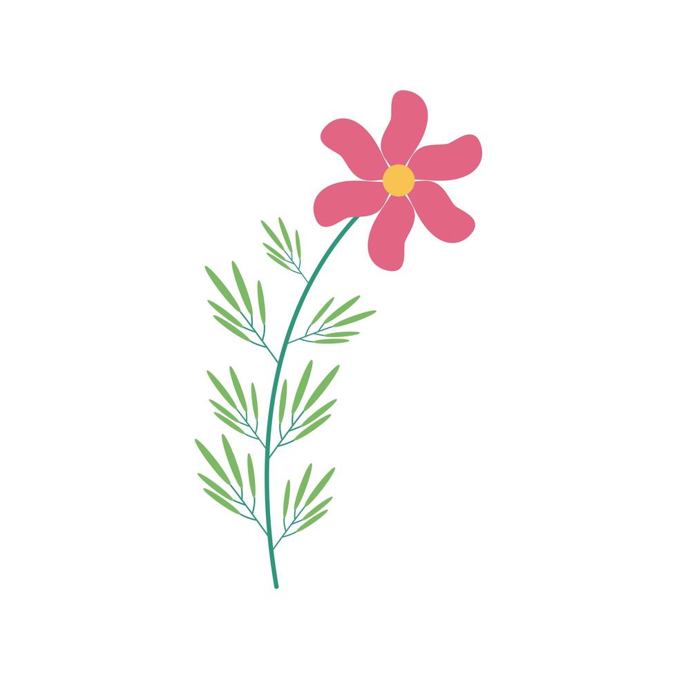 pink flower and leafs in branch flat element vector