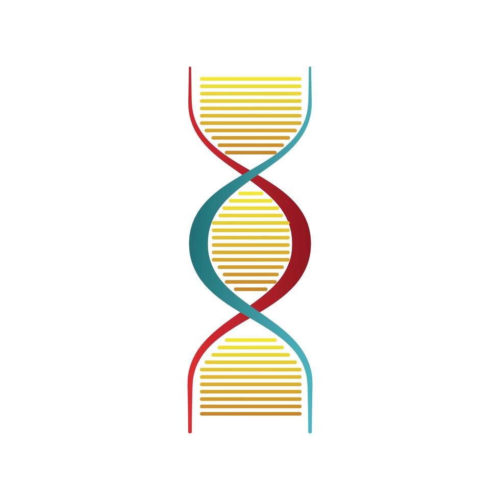 Icono aislado de la estructura de la molécula de ADN vector