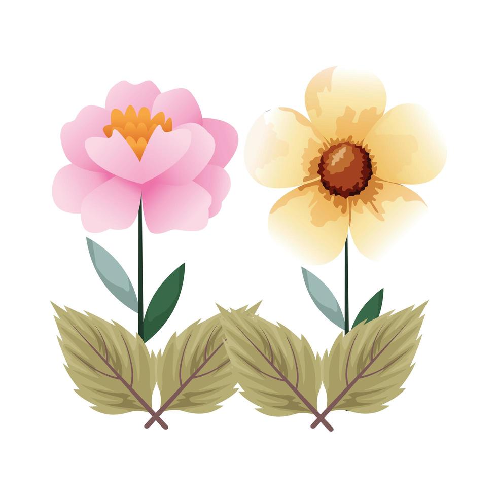 beautiful flowers garden decorative icon vector