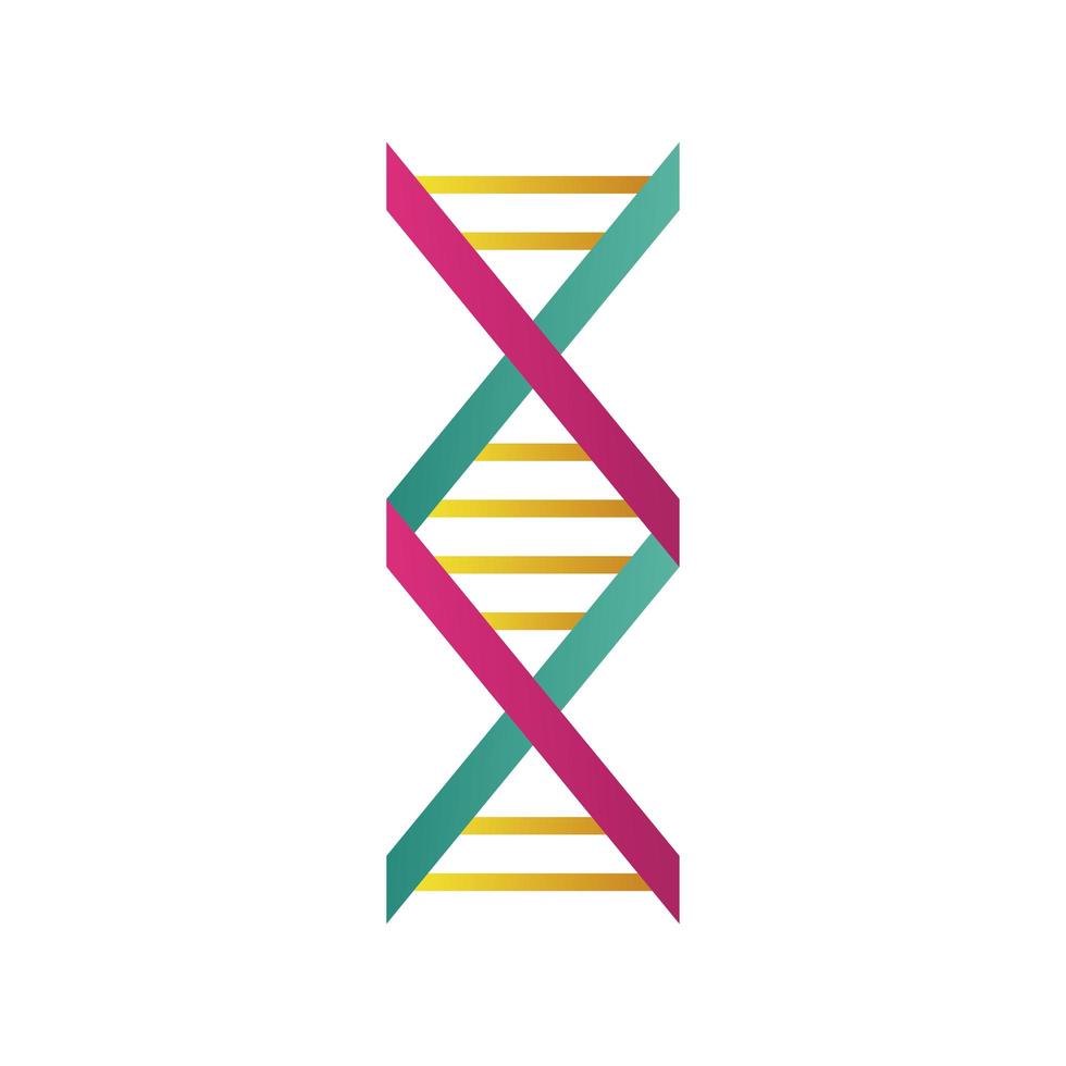 dna molecule structure isolated icon vector