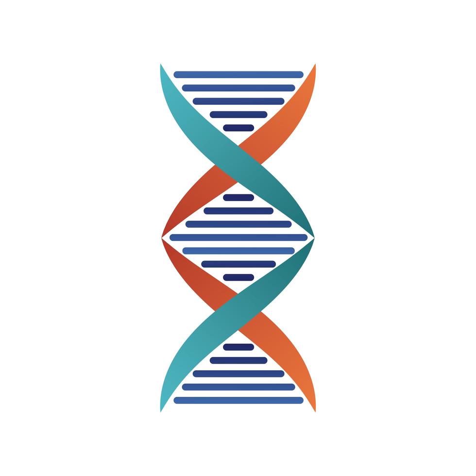 dna molecule structure isolated icon vector