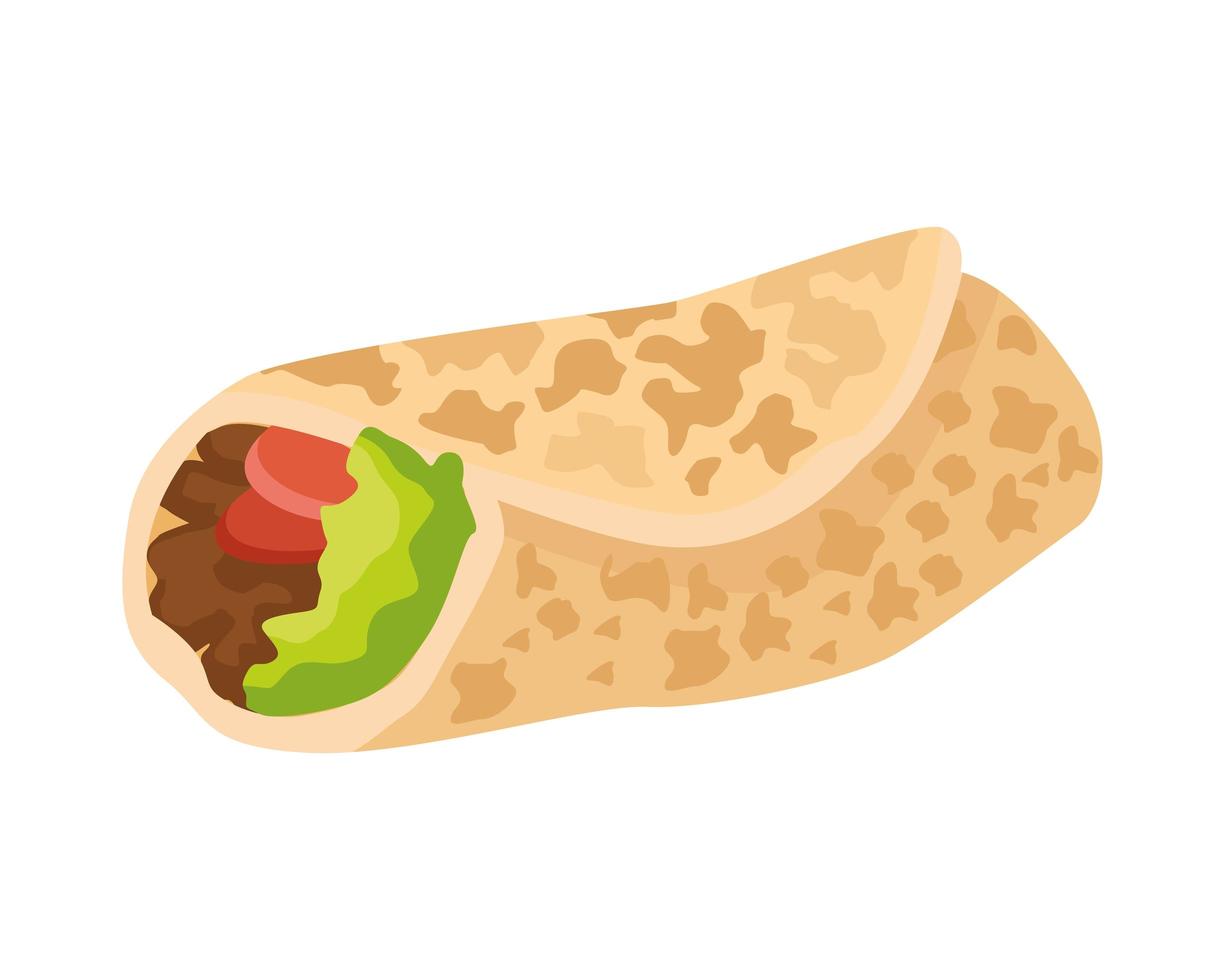 delicious mexican burrito traditional food vector