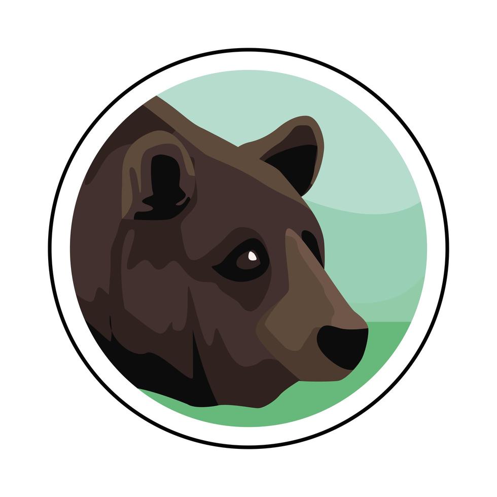 wild bear beast animal head vector