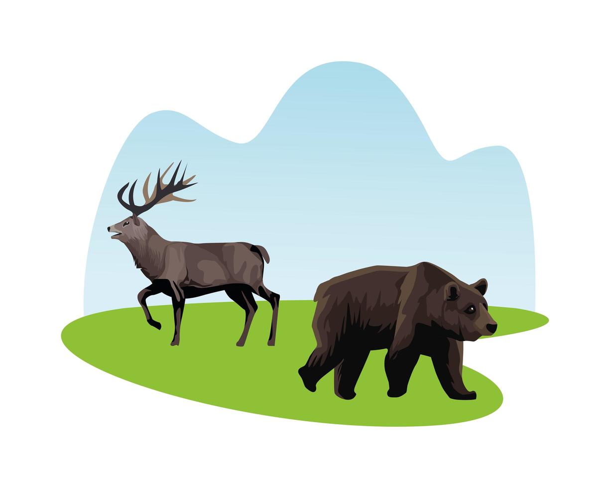 renos salvajes y animales oso vector