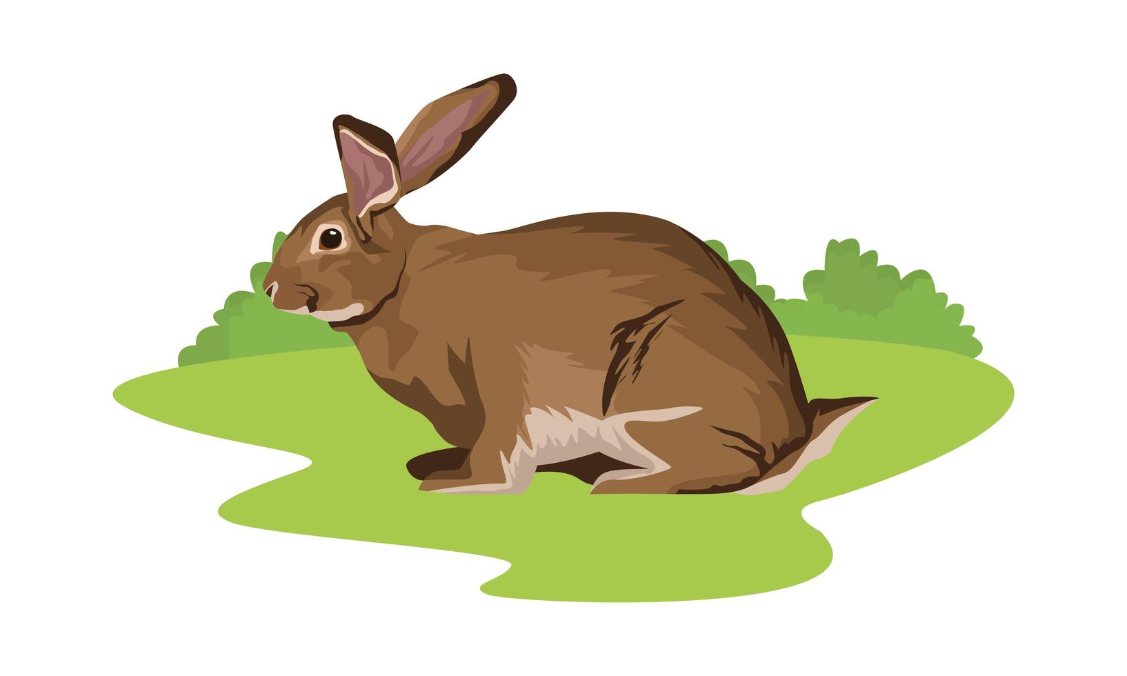 lindo animal conejo salvaje en el campo vector