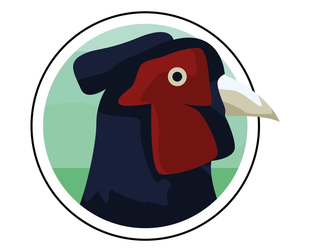 wild pheasant bird animal head vector