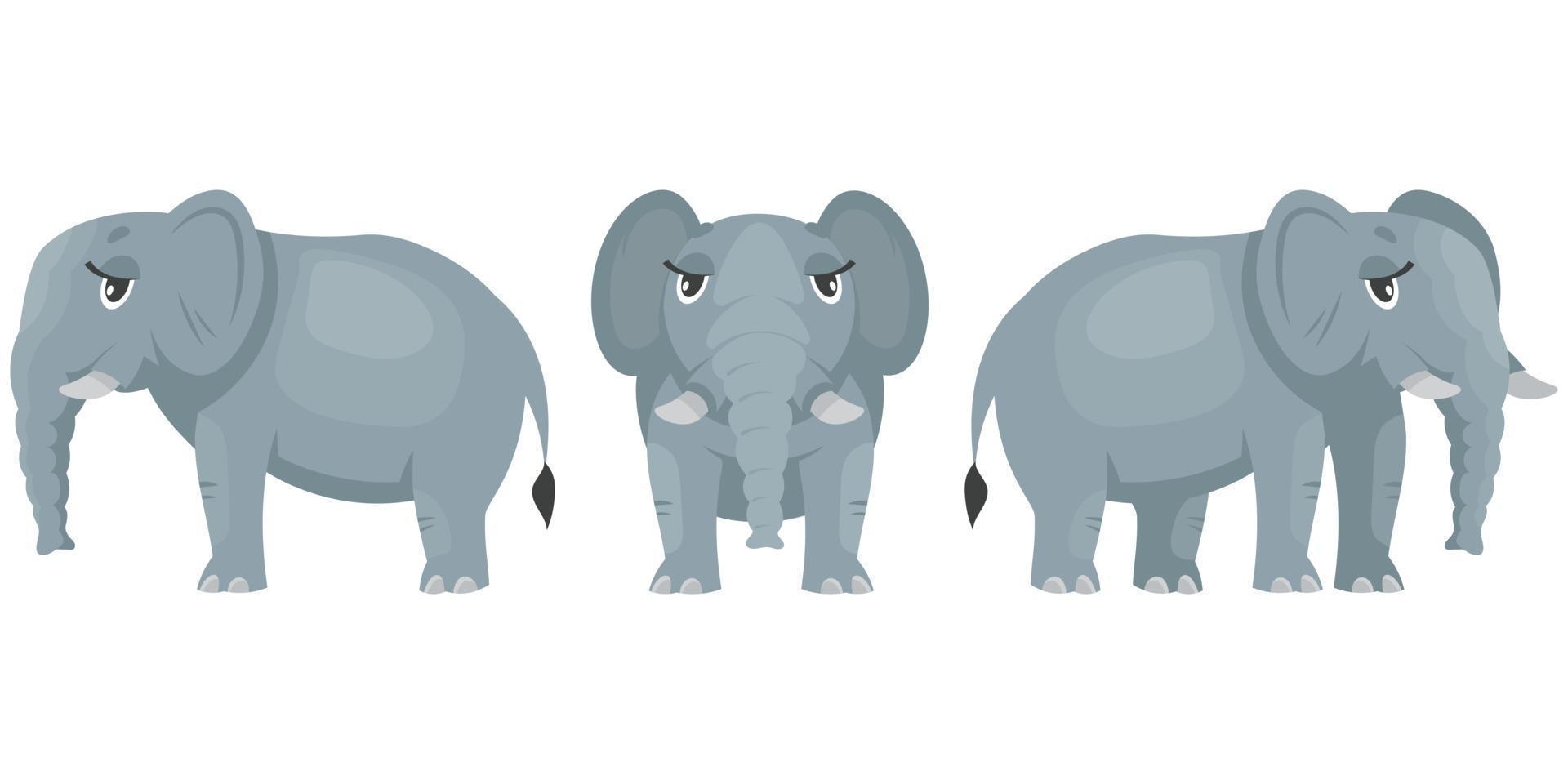 Female elephant in different poses. vector