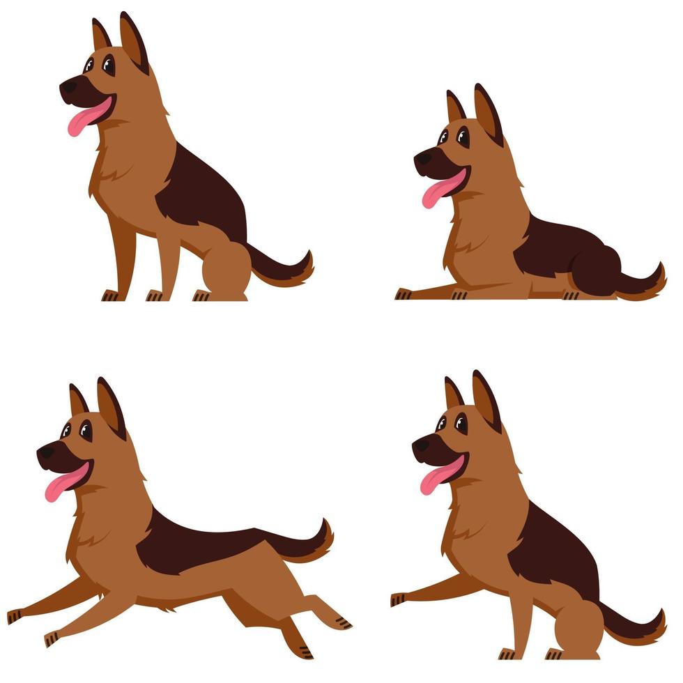 German shepherd in different poses. vector