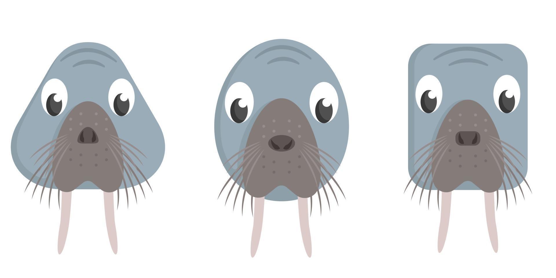 Set of cartoon walruses. vector