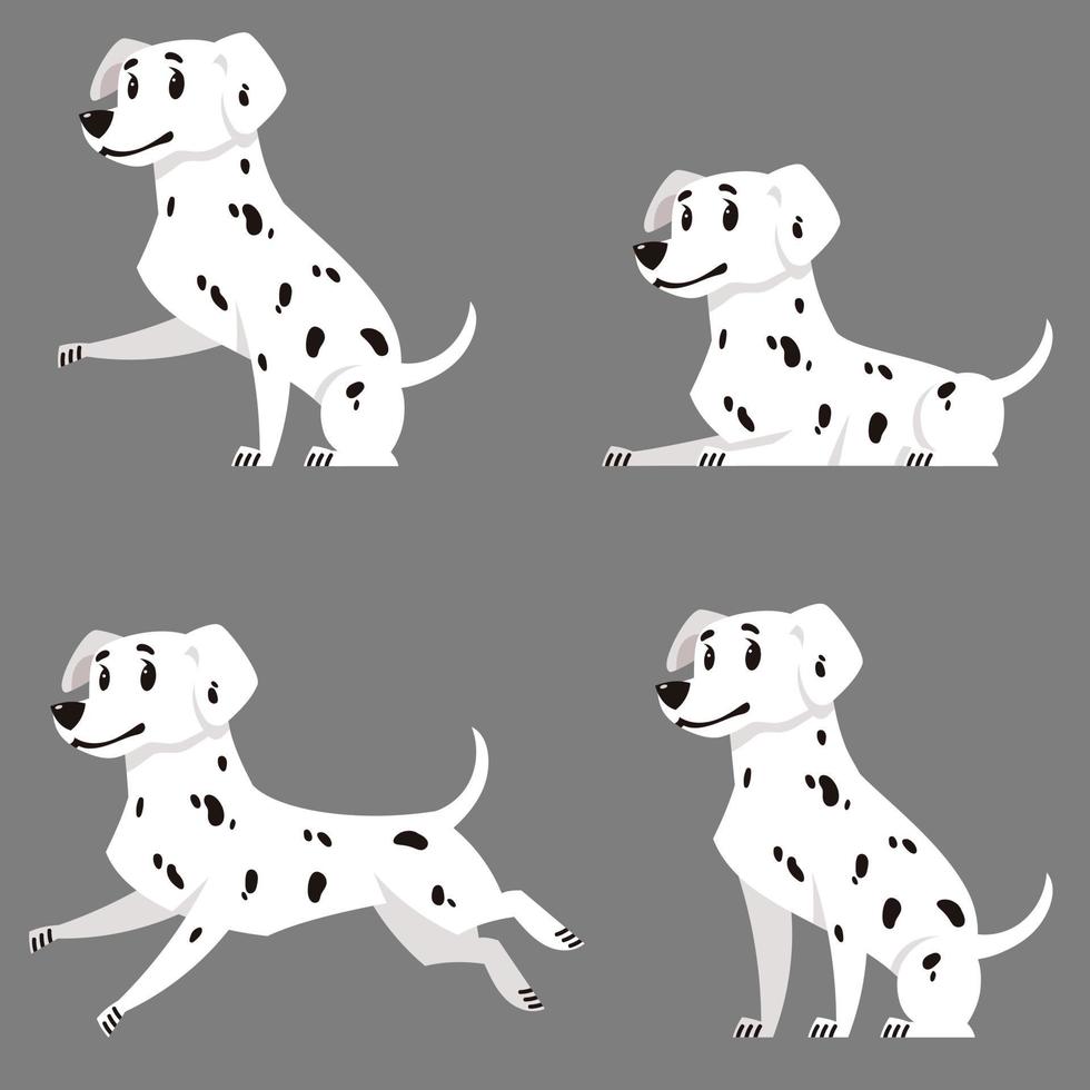 dálmata en diferentes poses. vector